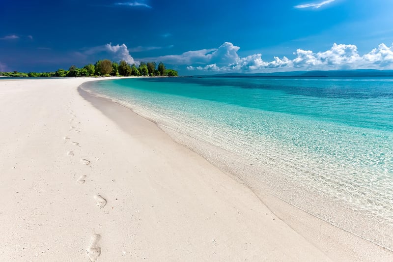 Beachfront Relaxation
